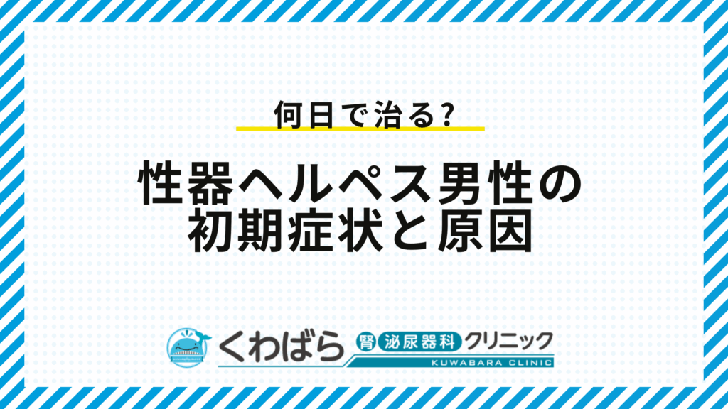 性器ヘルペス男性の初期症状と原因
